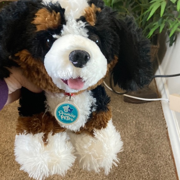 Build-A-Bear Other - Build-A-Bear Promise Pet Bernese Mountain Black, White, and Brown Stuffed Dog